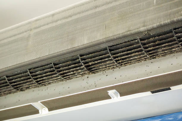 Best Emergency Air Duct Cleaning  in USA